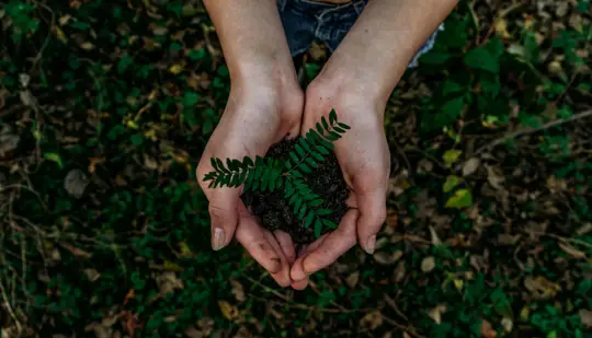 How we make our work sustainable